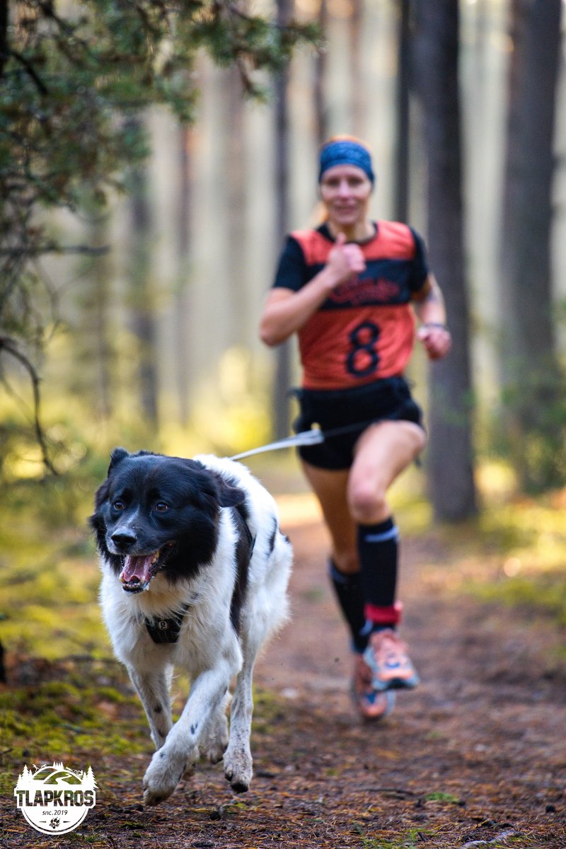 HannahB Dogwear – Ruční výroba doplňků pro psy